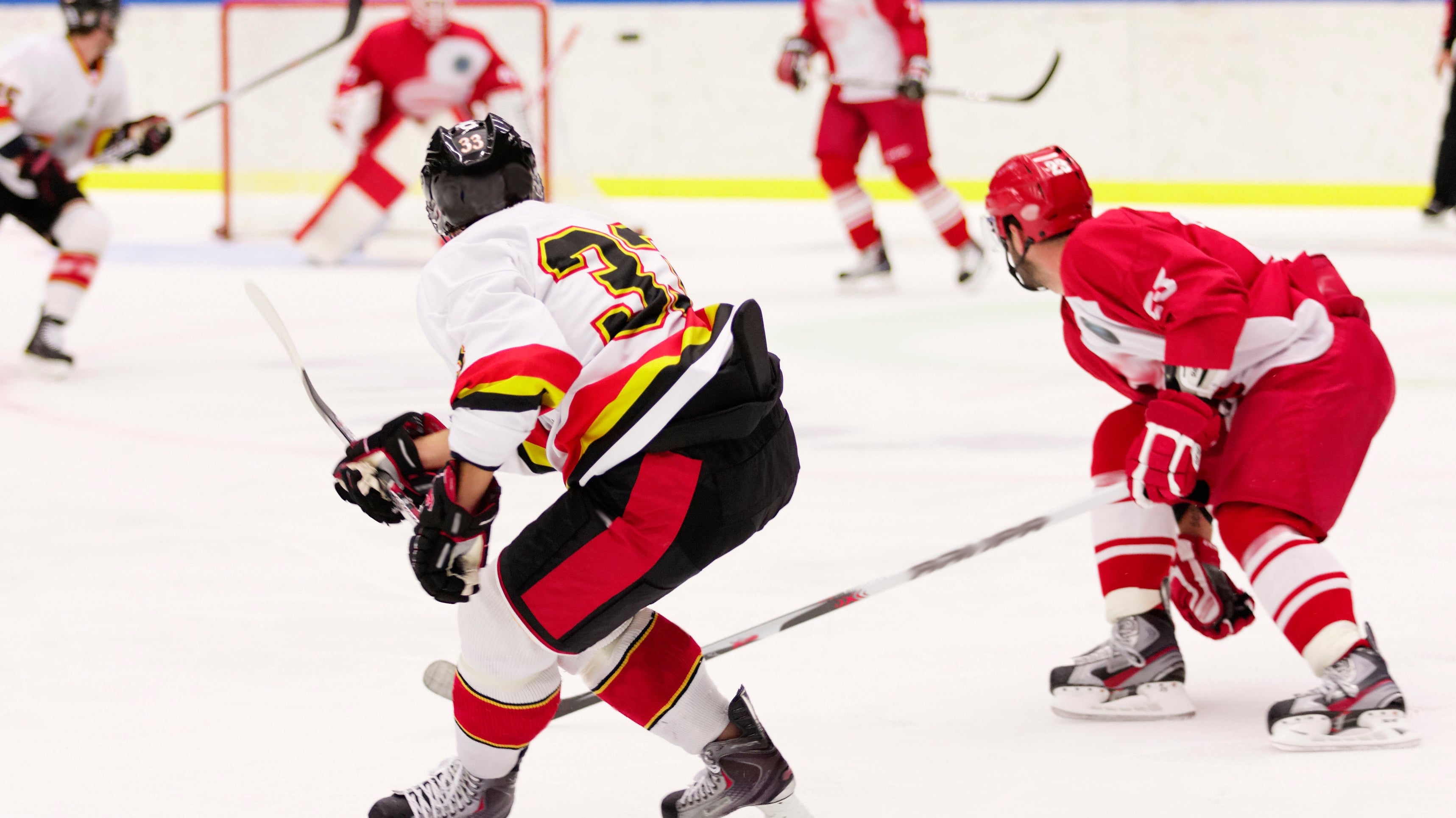 Professional hockey game