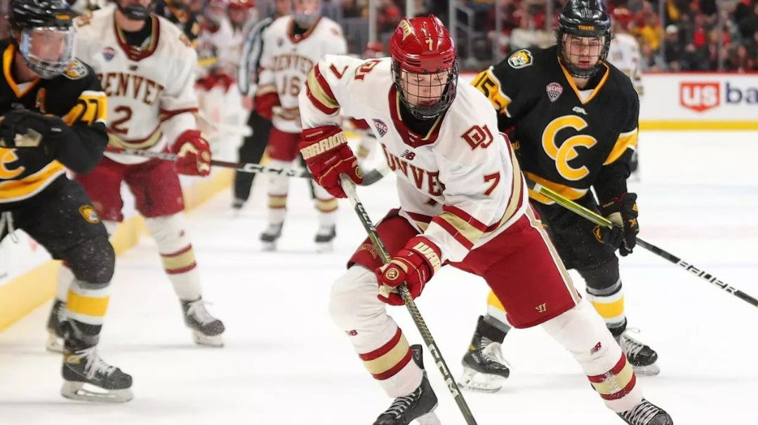 HOW TO STEAL THE PUCK