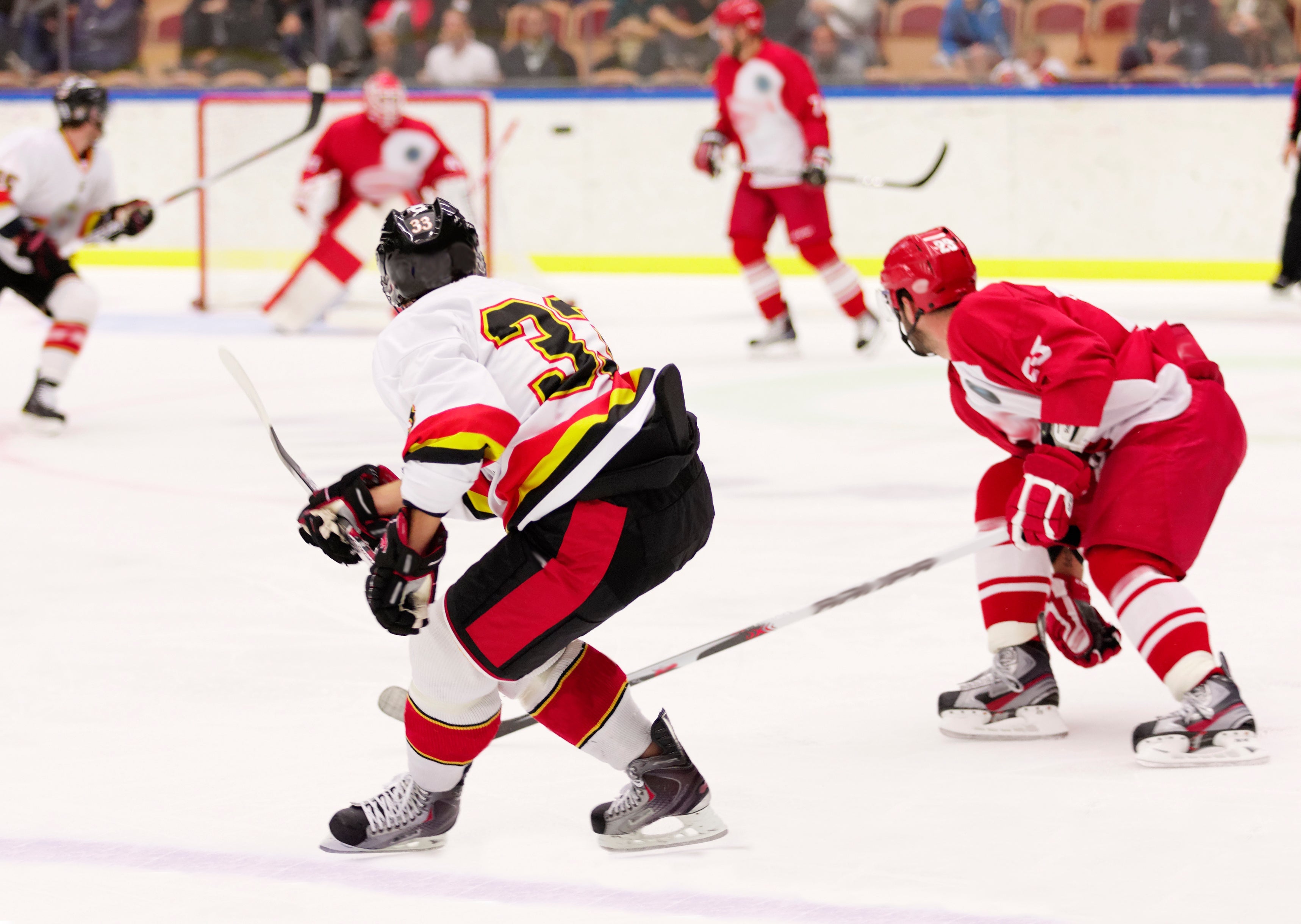 Professional hockey game