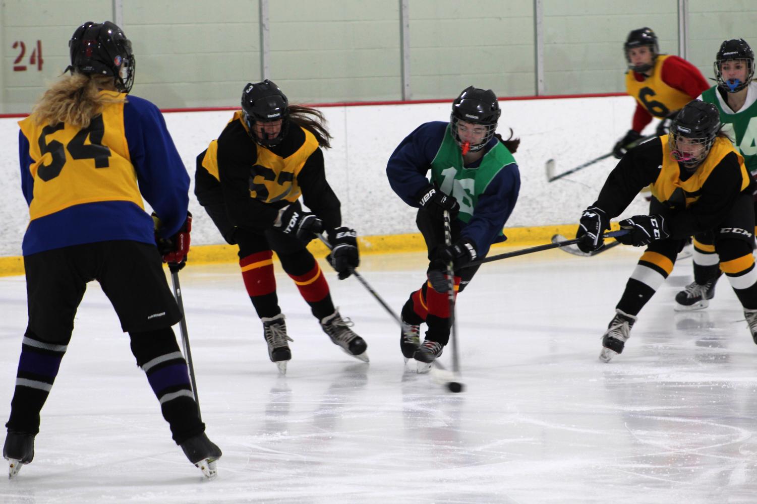 Hockey Players playing in a game